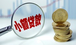 成都20哪里可以小额贷款-成都20哪里有民间借贷-成都20民间短期私借借款
