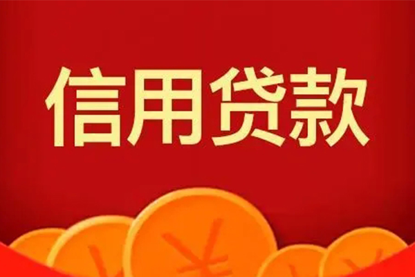 成都20身份证贷款电话